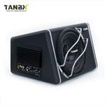Активний сабвуфер TANBX 10 TB-1310 детальний огляд