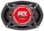 Зовнішній вигляд колонки MTX TX669C з відкритим динаміком