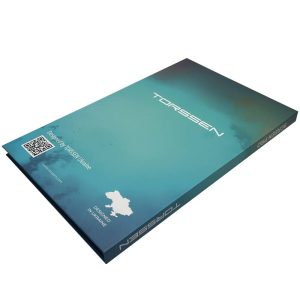 Головна Захисне скло TORSSEN 10 36 2K для мультимедіа – встановлення