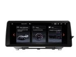 Штатна магнітола BMW X1 E84 FORS.auto